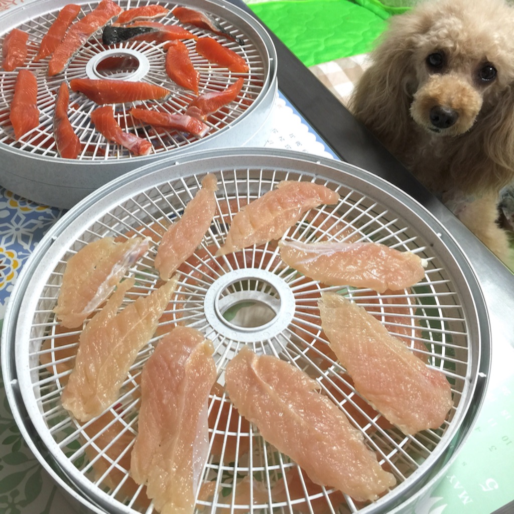 f:id:smile2poo-y:20150904101056j:image f:id:smile2poo-y:20150904101056j:image