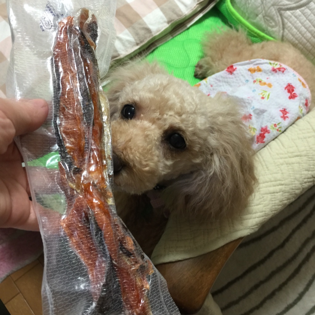 f:id:smile2poo-y:20150911144233j:image f:id:smile2poo-y:20150911144233j:image