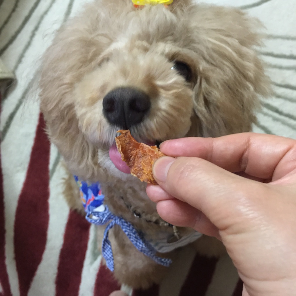f:id:smile2poo-y:20150911144529j:image f:id:smile2poo-y:20150911144529j:image