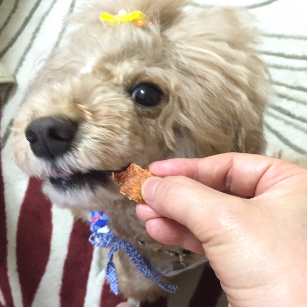 f:id:smile2poo-y:20150911144554j:image f:id:smile2poo-y:20150911144554j:image