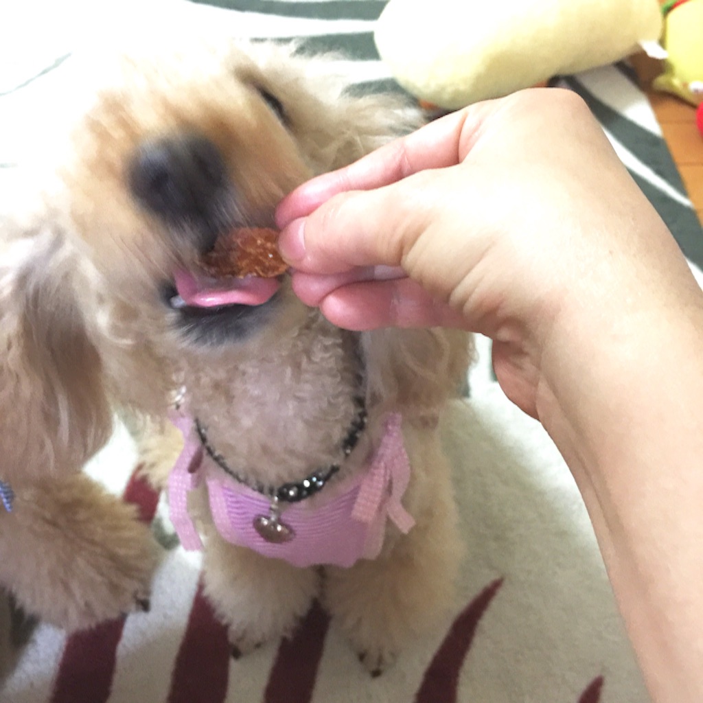 f:id:smile2poo-y:20150911144607j:image f:id:smile2poo-y:20150911144607j:image