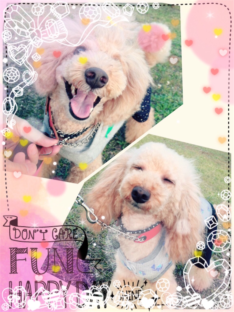 f:id:smile2poo-y:20150927004126j:image f:id:smile2poo-y:20150927004126j:image