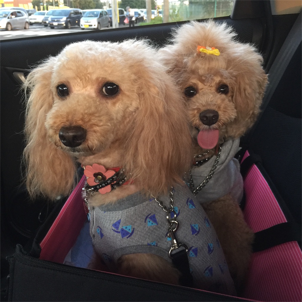 f:id:smile2poo-y:20150927010740j:image f:id:smile2poo-y:20150927010740j:image