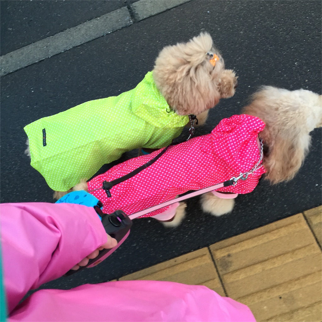 f:id:smile2poo-y:20151012225142j:image f:id:smile2poo-y:20151012225142j:image