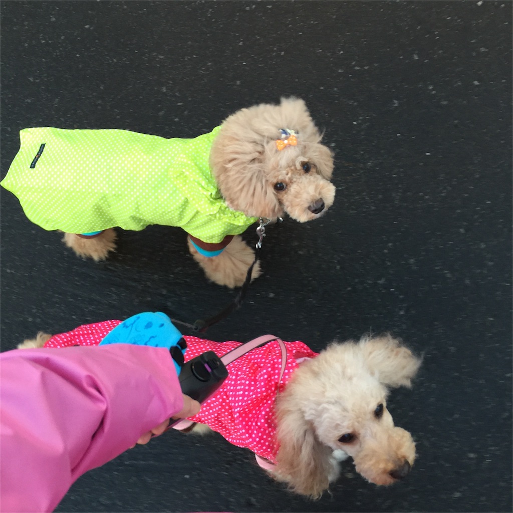 f:id:smile2poo-y:20151012225451j:image f:id:smile2poo-y:20151012225451j:image