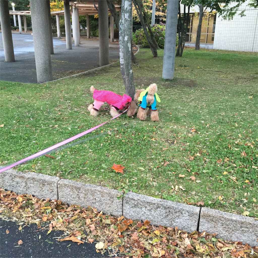 f:id:smile2poo-y:20151012225521j:image f:id:smile2poo-y:20151012225521j:image