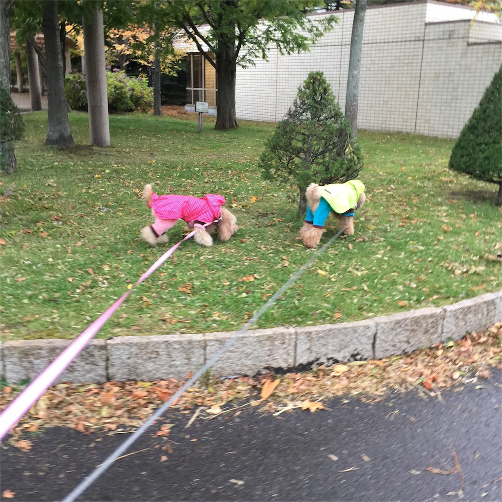 f:id:smile2poo-y:20151012225627j:image f:id:smile2poo-y:20151012225627j:image