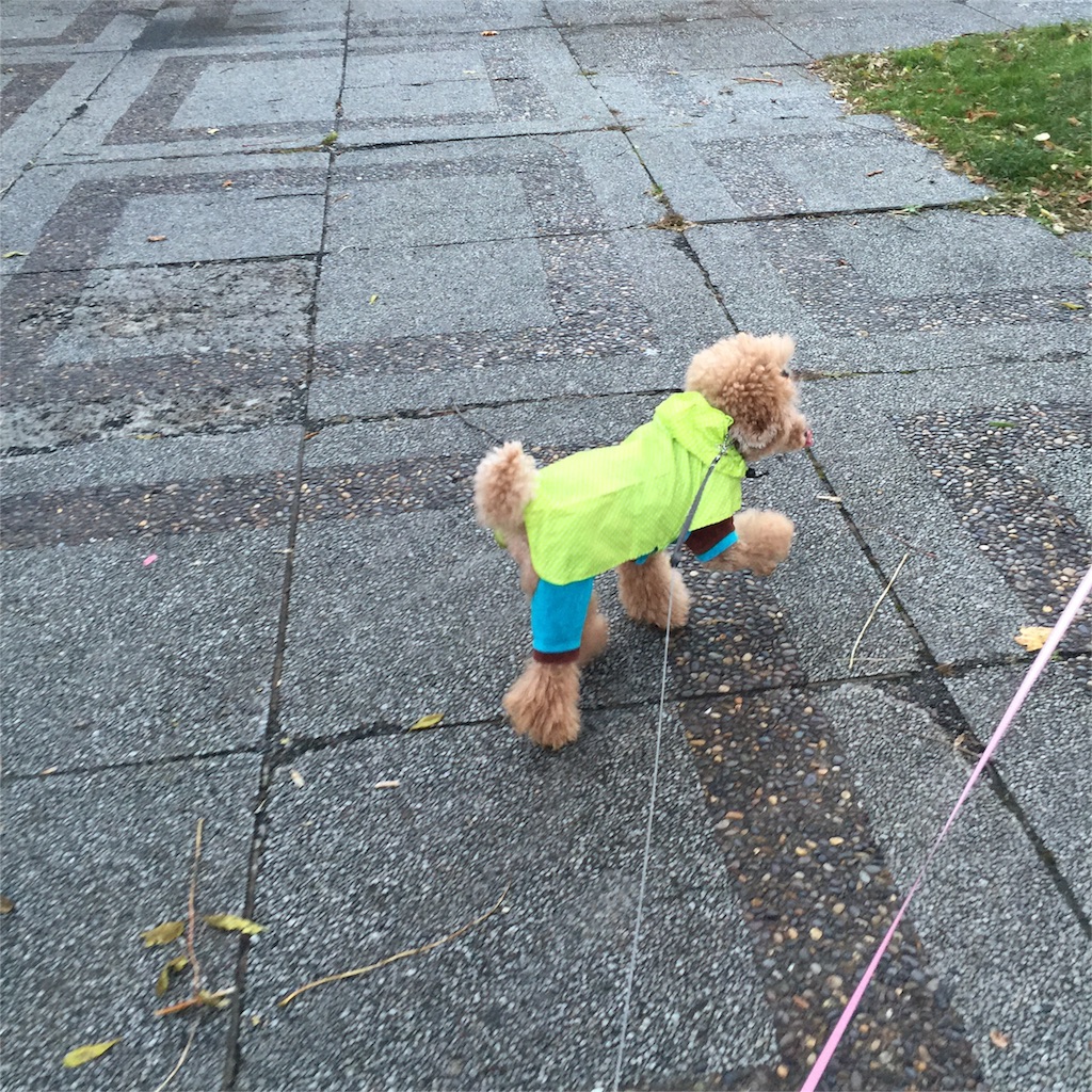 f:id:smile2poo-y:20151012225750j:image f:id:smile2poo-y:20151012225750j:image