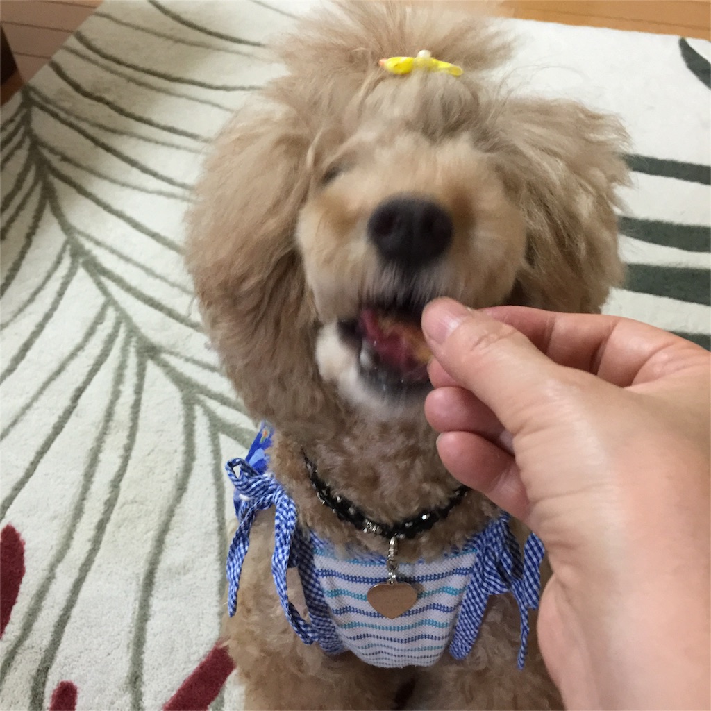 f:id:smile2poo-y:20151017165926j:image f:id:smile2poo-y:20151017165926j:image
