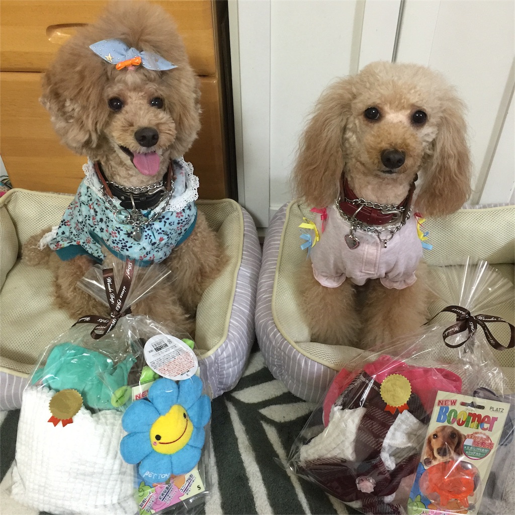 f:id:smile2poo-y:20151023110130j:image f:id:smile2poo-y:20151023110130j:image