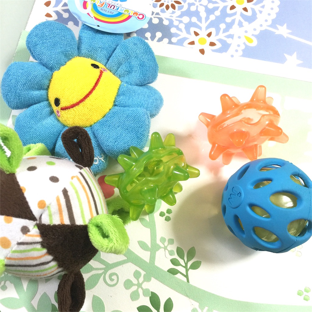 f:id:smile2poo-y:20151023111410j:image f:id:smile2poo-y:20151023111410j:image