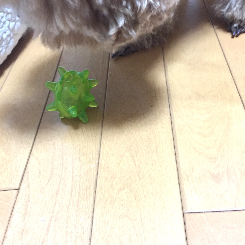 f:id:smile2poo-y:20151023111455j:image f:id:smile2poo-y:20151023111455j:image