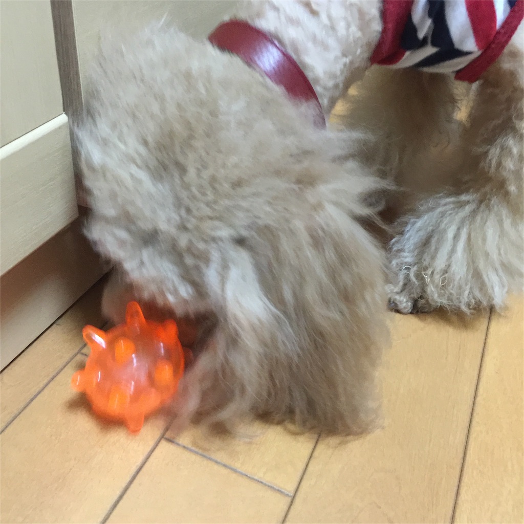 f:id:smile2poo-y:20151023111502j:image f:id:smile2poo-y:20151023111502j:image