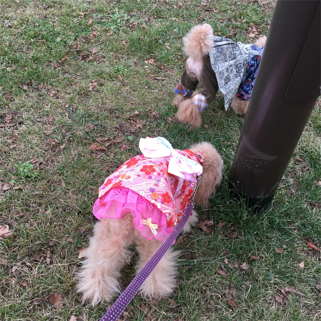 f:id:smile2poo-y:20151124132744j:image f:id:smile2poo-y:20151124132744j:image