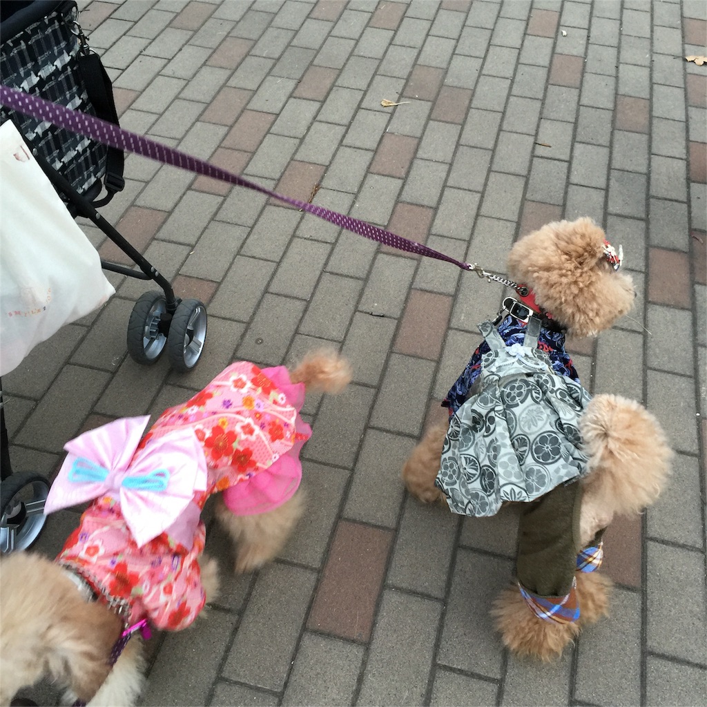 f:id:smile2poo-y:20151124134035j:image f:id:smile2poo-y:20151124134035j:image