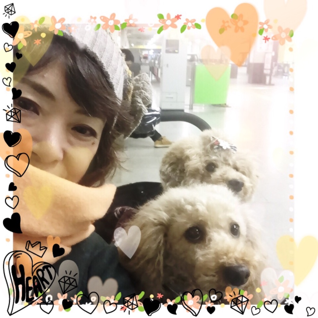 f:id:smile2poo-y:20151124145856j:image f:id:smile2poo-y:20151124145856j:image