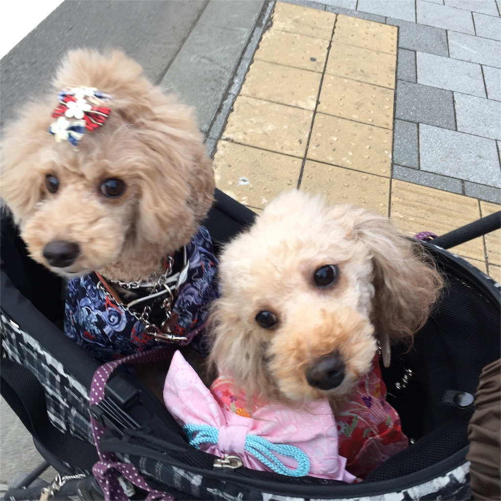 f:id:smile2poo-y:20151124150443j:image f:id:smile2poo-y:20151124150443j:image