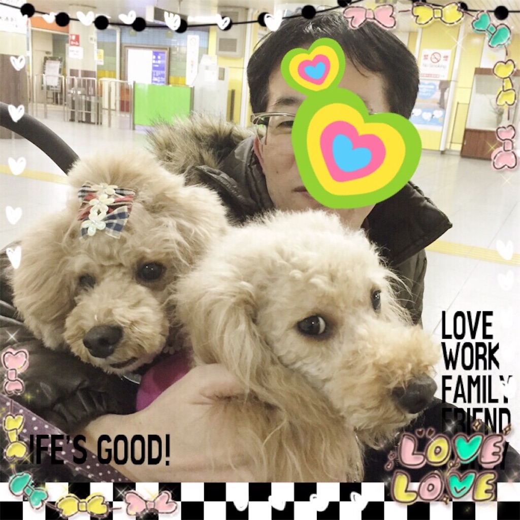 f:id:smile2poo-y:20151124152012j:image f:id:smile2poo-y:20151124152012j:image