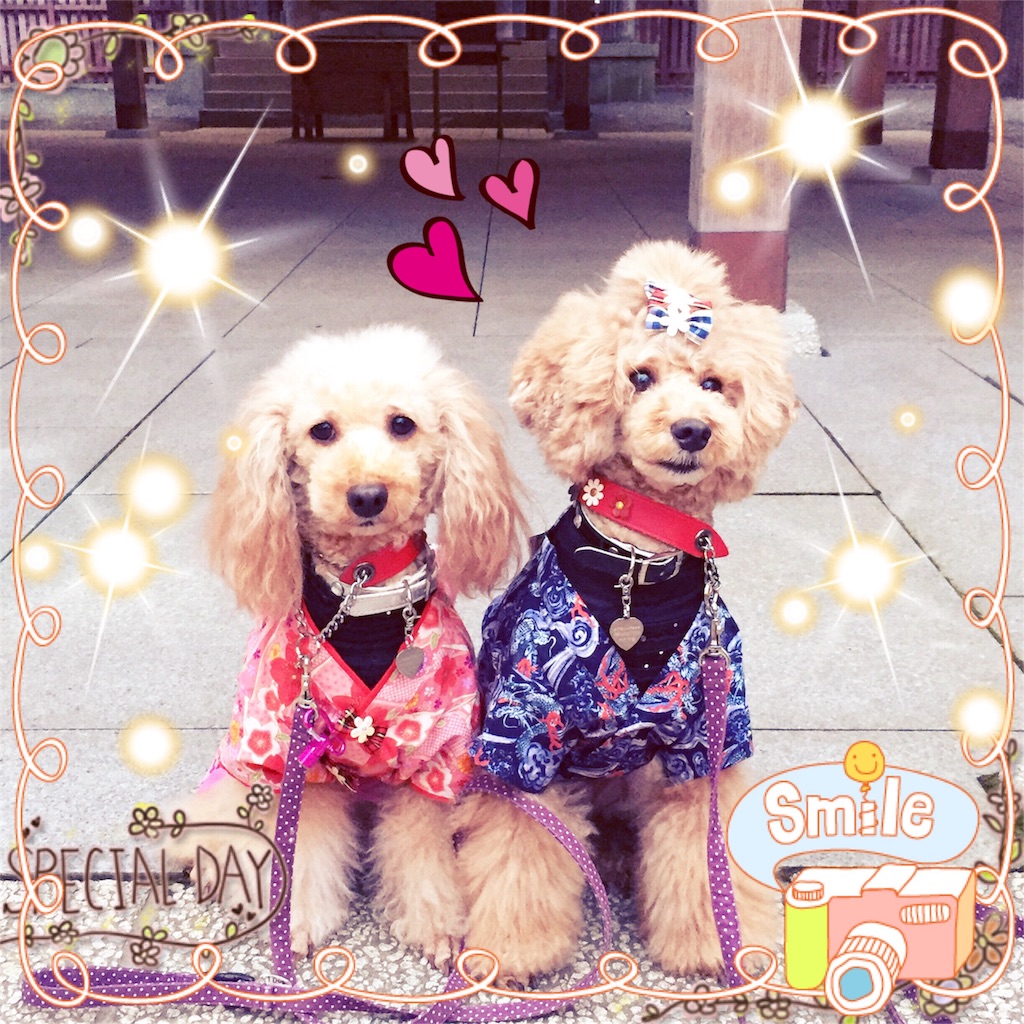 f:id:smile2poo-y:20151124153532j:image f:id:smile2poo-y:20151124153532j:image