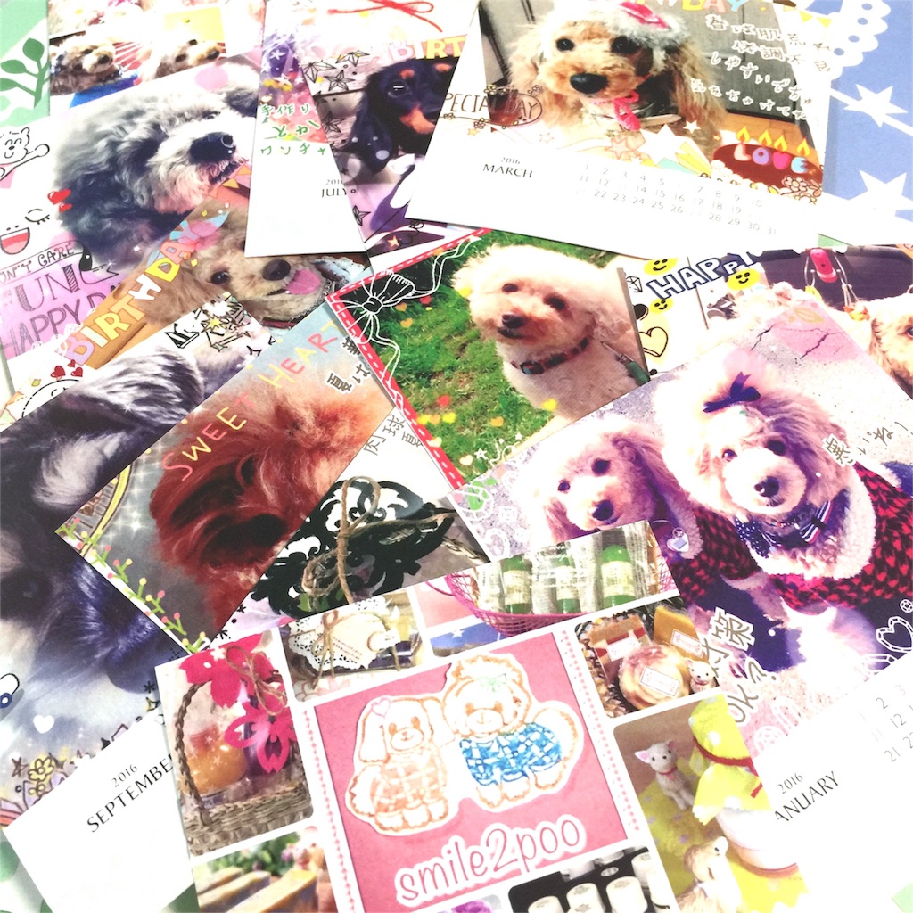 f:id:smile2poo-y:20151215183927j:image f:id:smile2poo-y:20151215183927j:image
