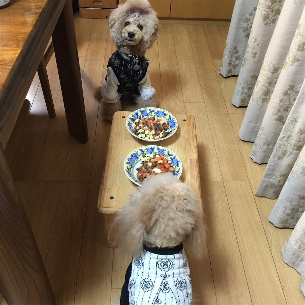 f:id:smile2poo-y:20160113022652j:image f:id:smile2poo-y:20160113022652j:image