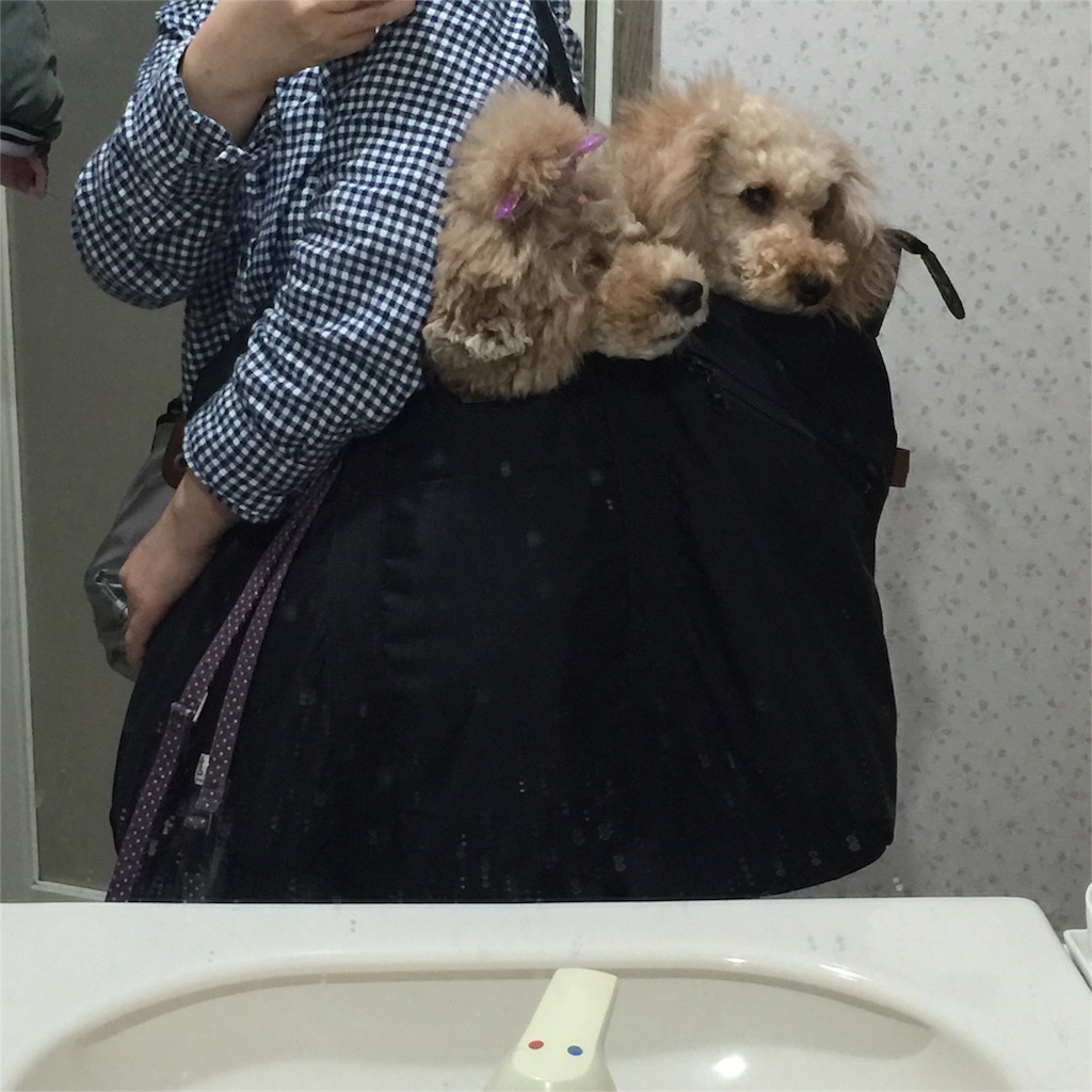 f:id:smile2poo-y:20160114144235j:image f:id:smile2poo-y:20160114144235j:image