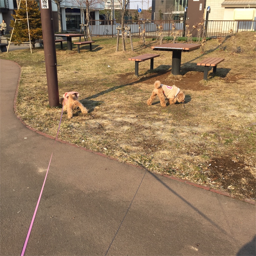 f:id:smile2poo-y:20160402010832j:image f:id:smile2poo-y:20160402010832j:image