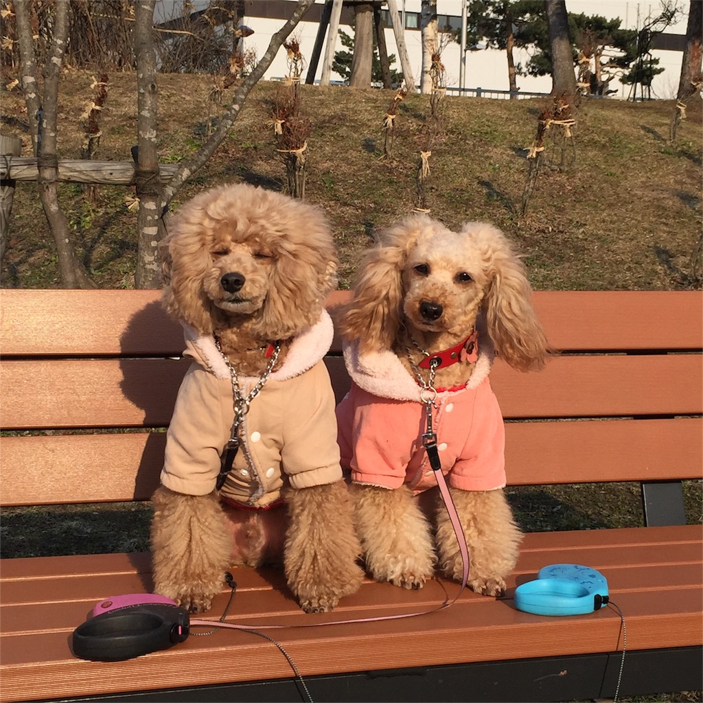 f:id:smile2poo-y:20160402010848j:image f:id:smile2poo-y:20160402010848j:image