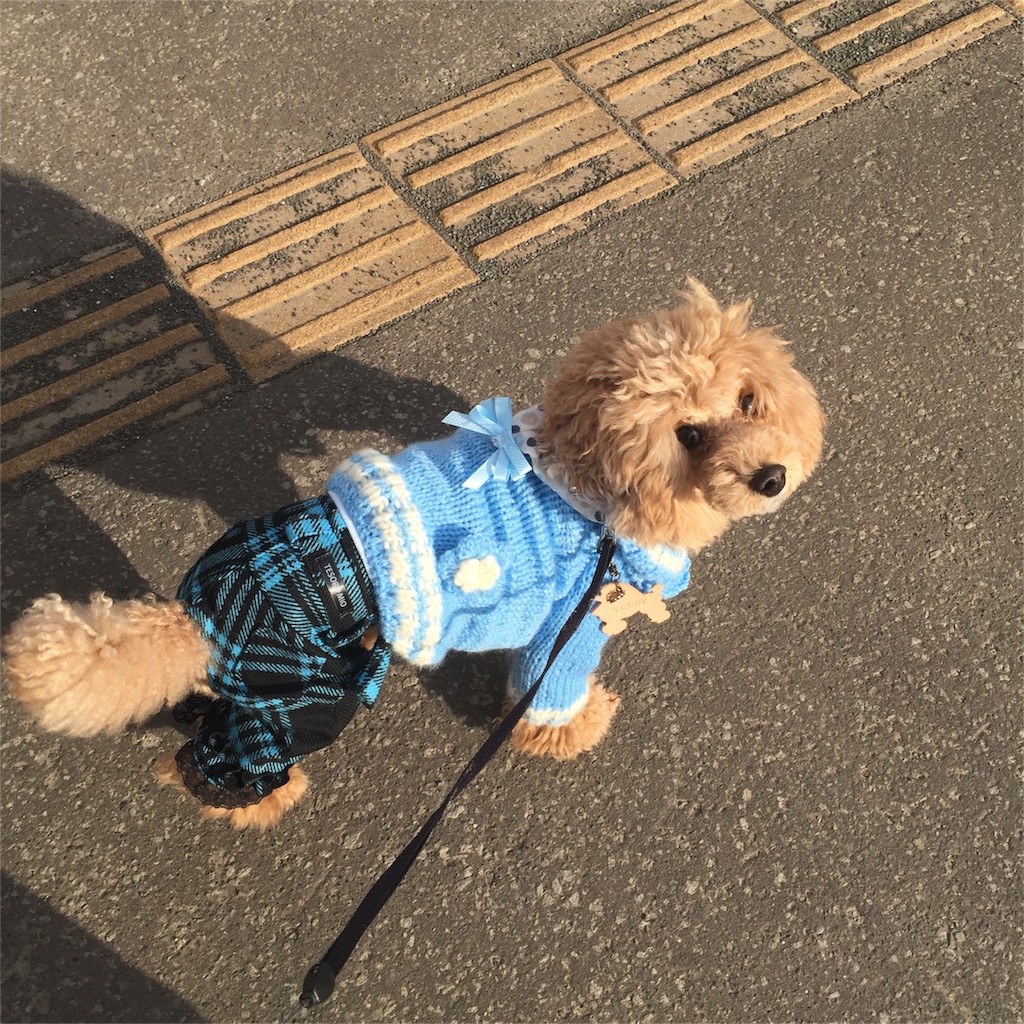 f:id:smile2poo-y:20160419032828j:image f:id:smile2poo-y:20160419032828j:image