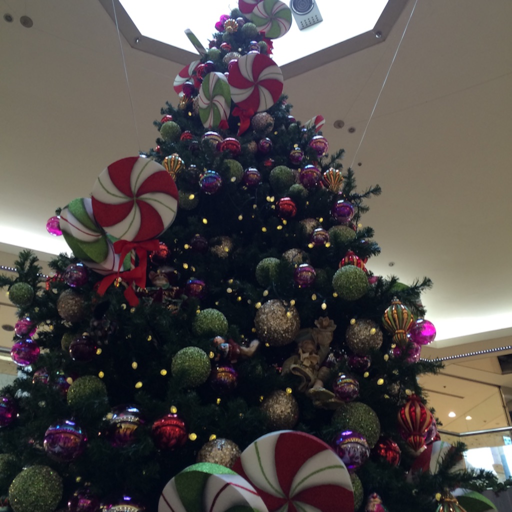 f:id:smilehappysea:20151207171544j:image f:id:smilehappysea:20151207171544j:image