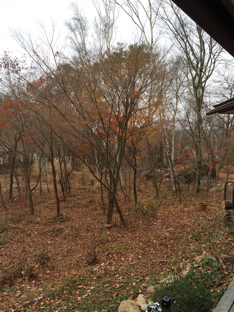 f:id:smilehappysea:20151228134233j:image f:id:smilehappysea:20151228134233j:image