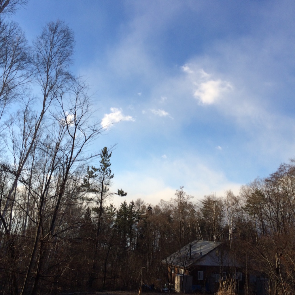 f:id:smilehappysea:20151231114222j:image f:id:smilehappysea:20151231114222j:image