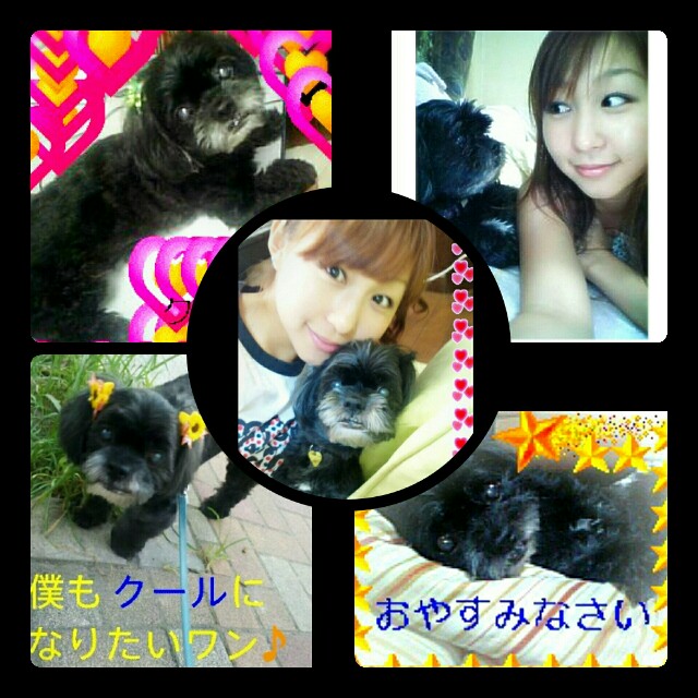 f:id:smilekatomiho:20150615222759j:image f:id:smilekatomiho:20150615222759j:image