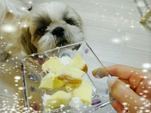 f:id:smilekatomiho:20150816114646j:image f:id:smilekatomiho:20150816114646j:image