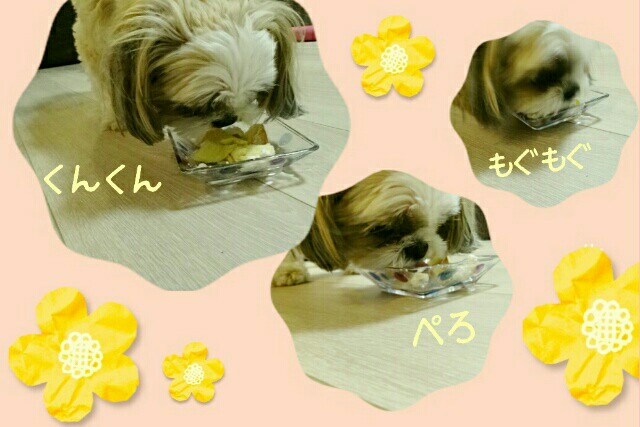 f:id:smilekatomiho:20150816114752j:image f:id:smilekatomiho:20150816114752j:image