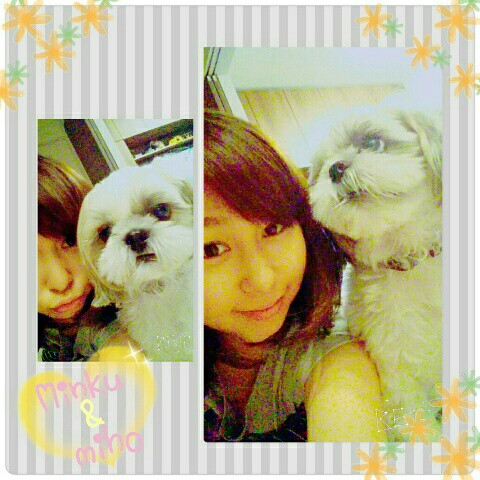 f:id:smilekatomiho:20150816115437j:image f:id:smilekatomiho:20150816115437j:image