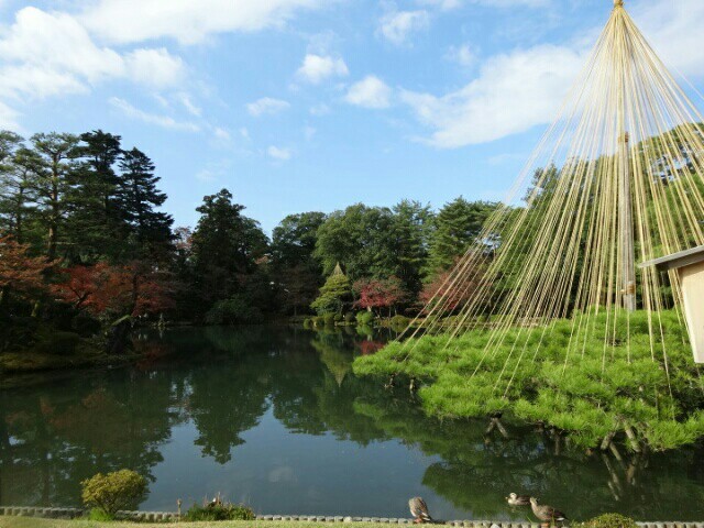 f:id:smilekatomiho:20151207212502j:image f:id:smilekatomiho:20151207212502j:image