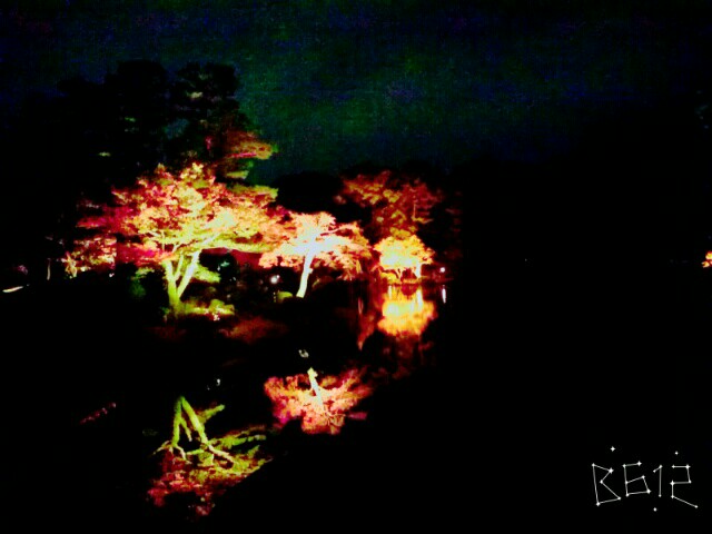 f:id:smilekatomiho:20151207213318j:image f:id:smilekatomiho:20151207213318j:image