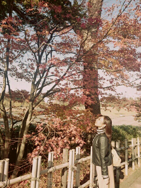 f:id:smilekatomiho:20151207221748j:image f:id:smilekatomiho:20151207221748j:image
