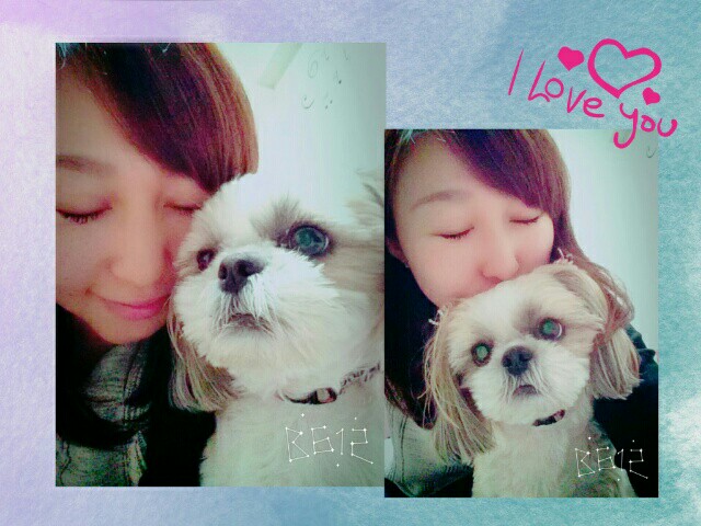 f:id:smilekatomiho:20151231153954j:image f:id:smilekatomiho:20151231153954j:image