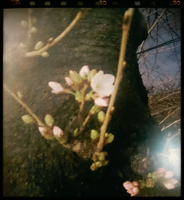 f:id:smilekatomiho:20160320112045j:image f:id:smilekatomiho:20160320112045j:image