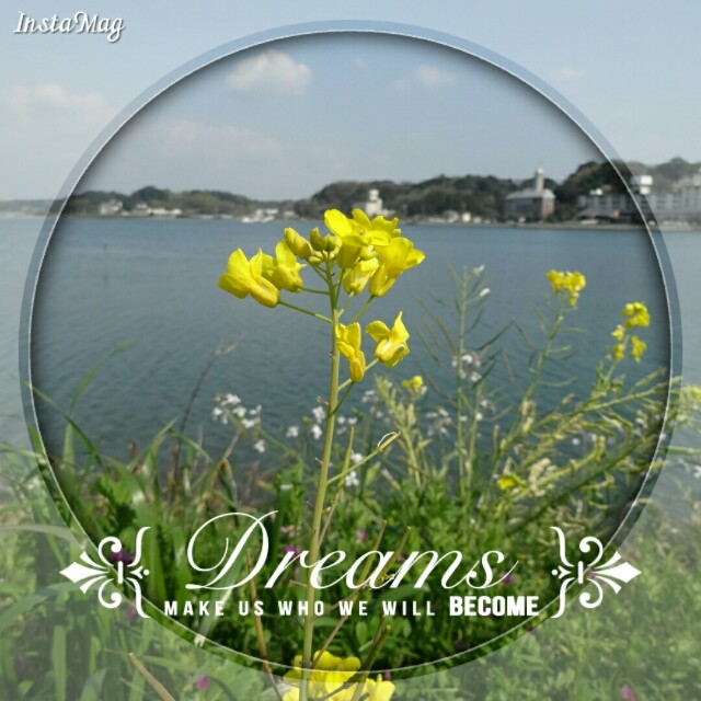 f:id:smilekatomiho:20160331150850j:image f:id:smilekatomiho:20160331150850j:image