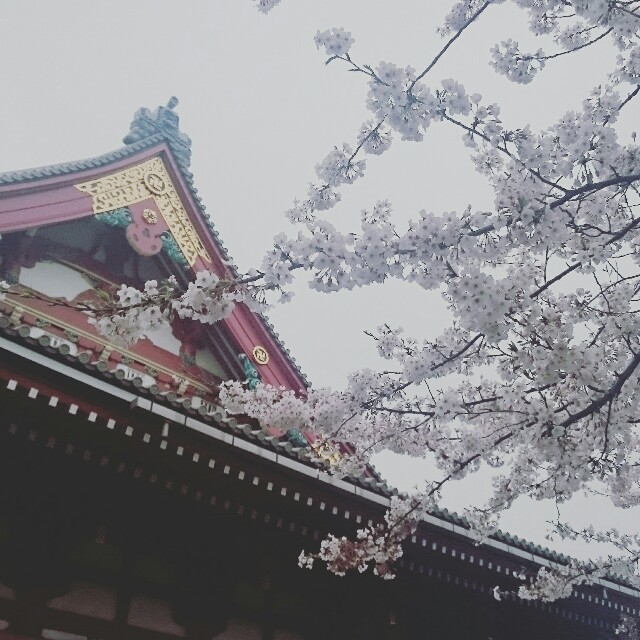 f:id:smilekatomiho:20160402204502j:image f:id:smilekatomiho:20160402204502j:image
