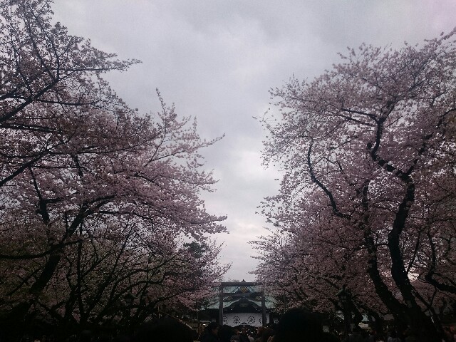 f:id:smilekatomiho:20160404204441j:image f:id:smilekatomiho:20160404204441j:image