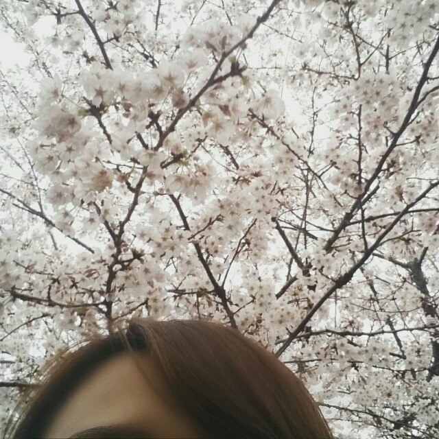 f:id:smilekatomiho:20160404205133j:image f:id:smilekatomiho:20160404205133j:image