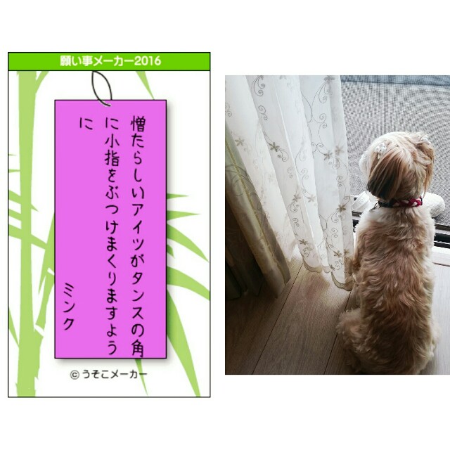 f:id:smilekatomiho:20160707153555j:image f:id:smilekatomiho:20160707153555j:image