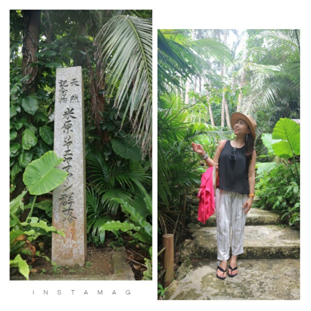 f:id:smilekatomiho:20160729112146j:image f:id:smilekatomiho:20160729112146j:image