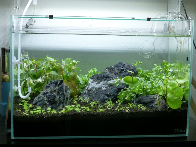 f:id:smm13:20130723214201j:plain f:id:smm13:20130723214201j:plain