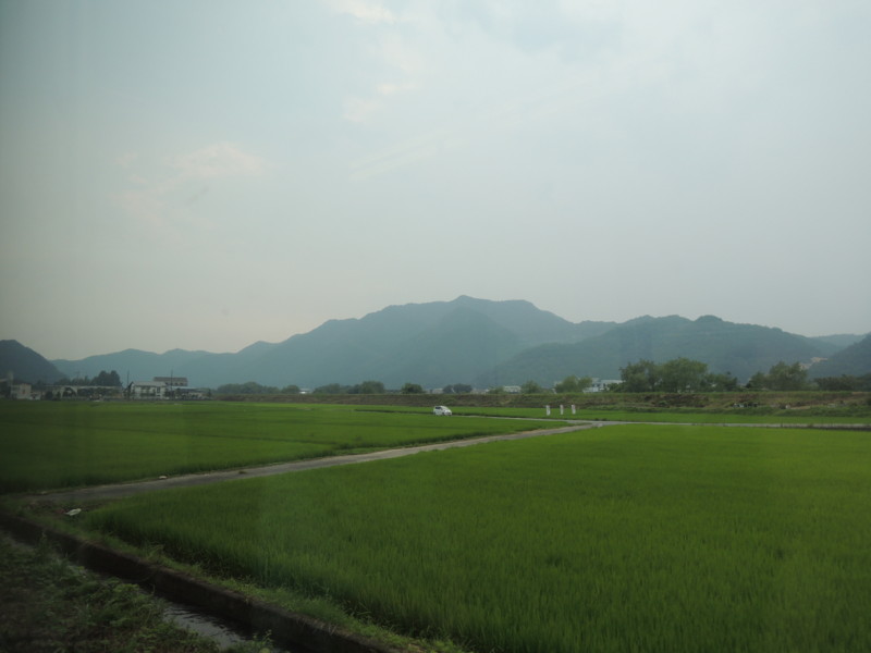 f:id:smode:20130810153055j:plain f:id:smode:20130810153055j:plain
