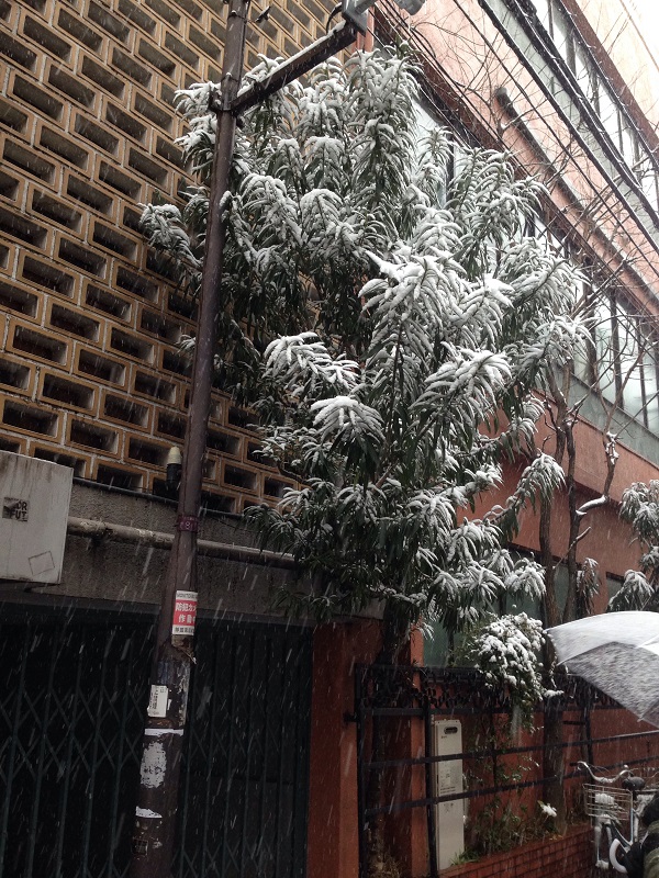 f:id:sn_rain:20140208111748j:plain
